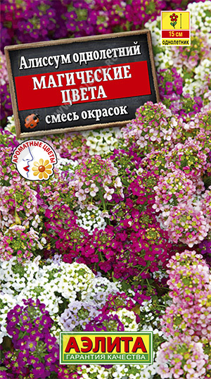 Семена алиссум Магические цвета, Аэлита: фото