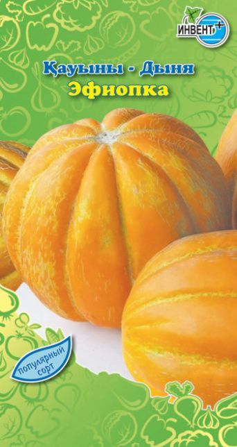 Дыня Эфиопка, ИНВЕНТ+: фото