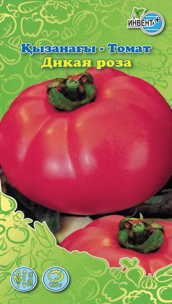 Томат Дикая Роза, ИНВЕНТ+: фото