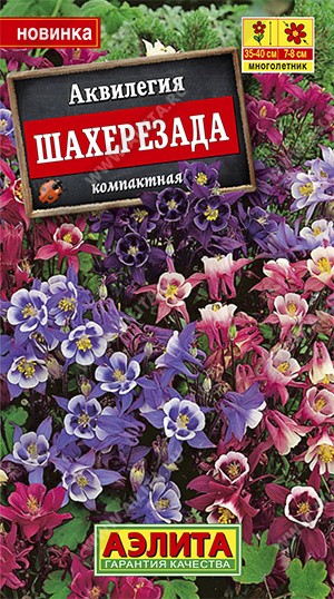 Семена аквилегия Шахерезада, Аэлита: фото