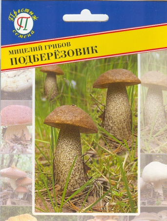 Мицелий грибов Подберезовик, Престиж: фото