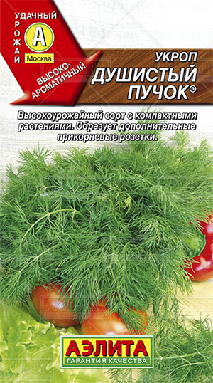 Семена укроп Душистый Пучок, Аэлита: фото