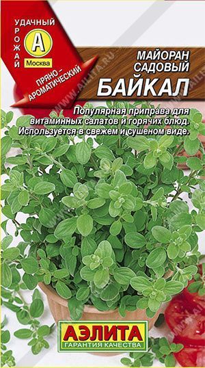 Семена майоран садовый Байкал, Аэлита: фото
