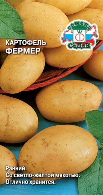 Семена картофель Фермер, Седек: фото