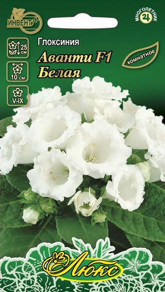 Глоксиния Аванти F1 Белая (серия ЛЮКС), ИНВЕНТ+: фото