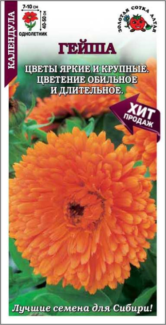 Семена календула Гейша, Золотая сотка: фото