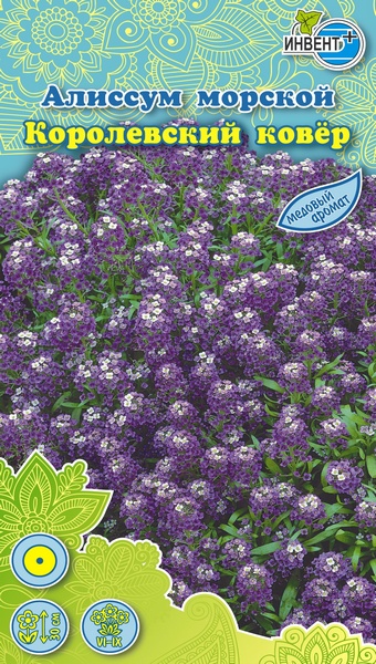 Алиссум Королевский Ковер, ИНВЕНТ+: фото