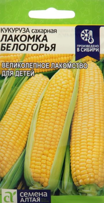 Семена кукуруза сахарная Лакомка Белогорья, Семена Алтая: фото
