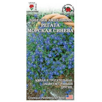 Семена лобелия Регата Морская синева, Золотая сотка: фото