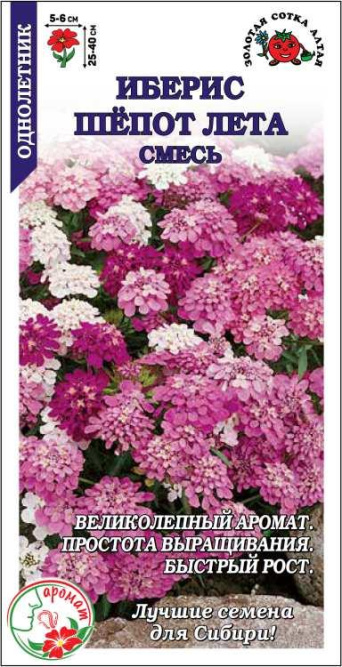 Семена иберис Шепот Лета, Золотая сотка: фото