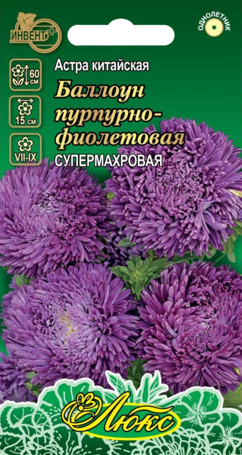 Астра Баллоун пурпурно-фиолетовая смесь (серия ЛЮКС), ИНВЕНТ+: фото