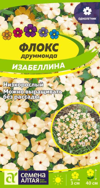 Семена флокс друммонда Изабеллина, Семена Алтая: фото