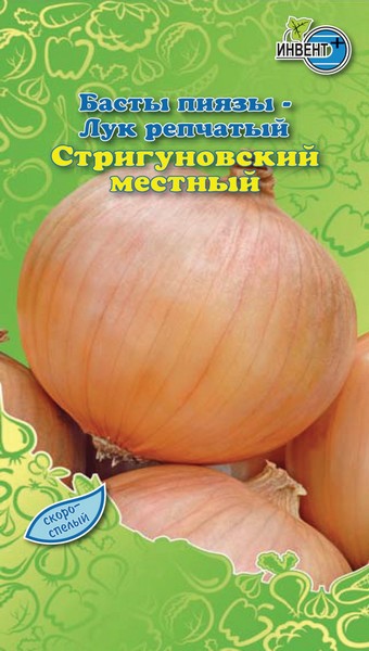 Лук репчатый Стригуновский, ИНВЕНТ+: фото