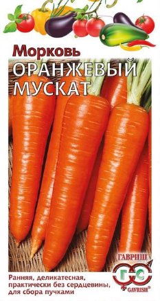 Семена морковь Оранжевый мускат, Гавриш: фото