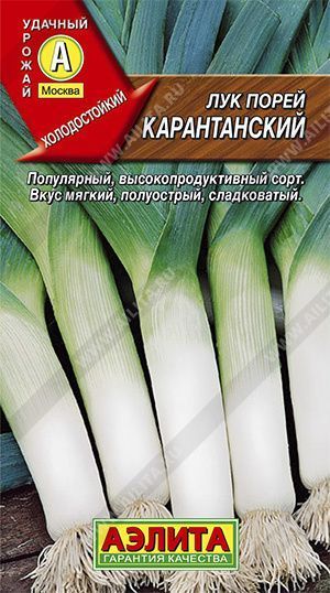 Семена лук порей Карантанский, Аэлита: фото