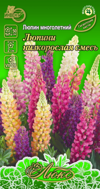 Люпин многолетний Люпини смесь (серия ЛЮКС), ИНВЕНТ+: фото