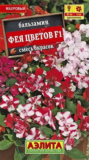 Семена бальзамин махровый Фея Цветов F1 смесь, Аэлита: фото