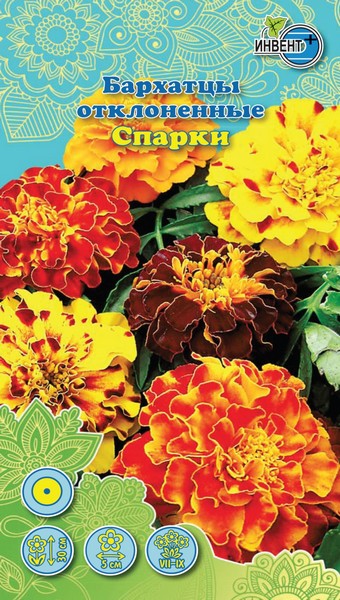 Бархатцы отклоненные Спарки, ИНВЕНТ+: фото