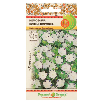 Семена немофила Божья коровка, НК: фото