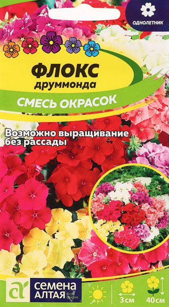 Семена флокс друммонда Смесь, Семена Алтая: фото