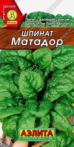 Семена шпинат Матадор, Аэлита: фото