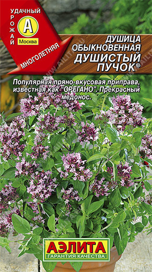 Семена душица Душистый Пучок, Аэлита: фото