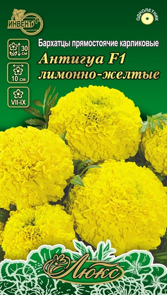 Бархатцы прямостоячие Антигуа F1 лимонно-жёлтые (серия ЛЮКС), ИНВЕНТ+: фото