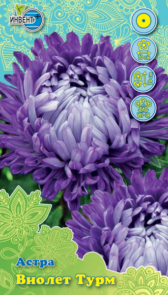 Астра Виолет Турм, ИНВЕНТ+: фото