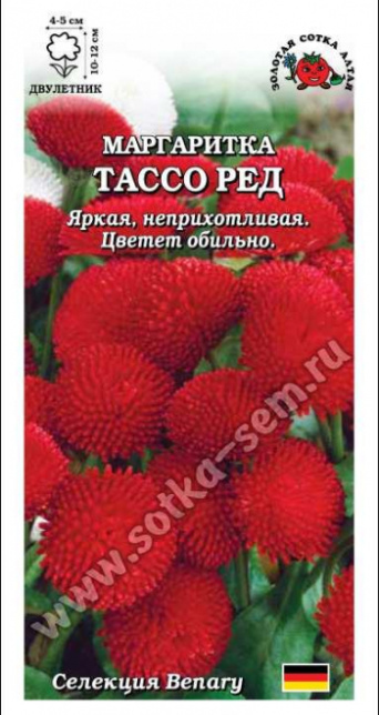 Семена маргаритка Тассо ред, Золотая Сотка: фото