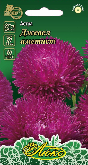 Астра Джевел Аметист (серия ЛЮКС), ИНВЕНТ+: фото