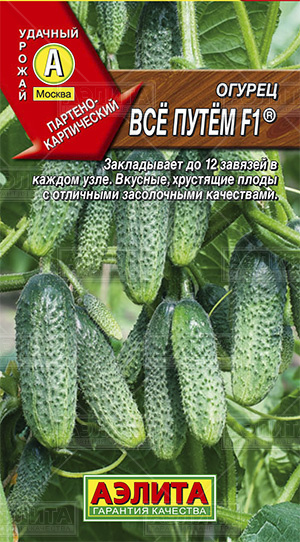 Семена огурец Все путем F1, Аэлита: фото