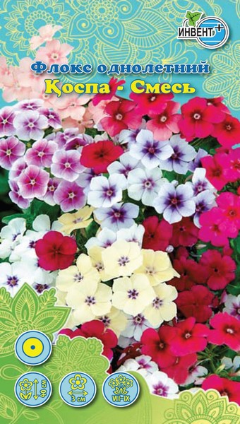 Флокс однолетний Смесь, ИНВЕНТ+: фото