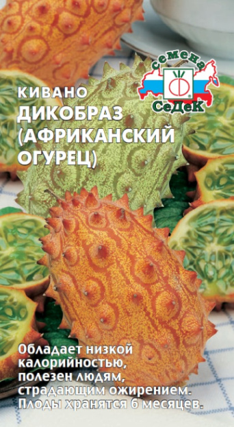 Семена кивано Дикобраз (африканский огурец),  Седек: фото