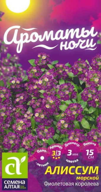 Семена алиссум Фиолетовая Королева, Семена Алтая: фото