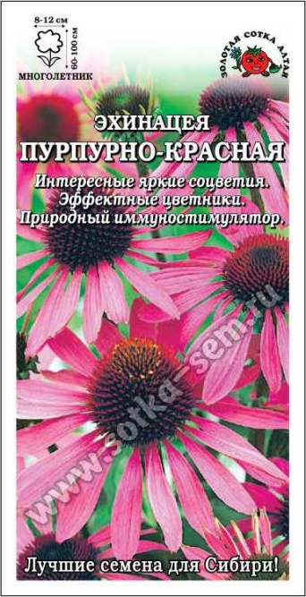 Семена эхинацея пурпурно-красная, Золотая Сотка: фото