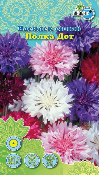 Василек синий Полка Дот, ИНВЕНТ+: фото