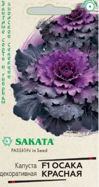 Семена капуста декоративная Осака красная, Гавриш: фото