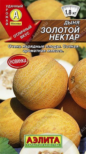 Семена дыня Золотой Нектар, Аэлита: фото