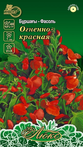 Фасоль Огненно-красная (серия ЛЮКС) ИНВЕНТ+: фото