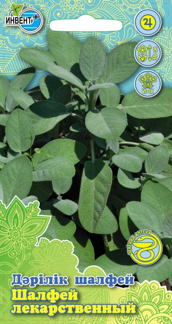 Шалфей Лекарственный ИНВЕНТ+: фото