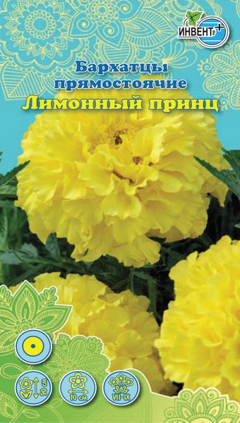 Бархатцы прямостоячие Лимонный Принц, ИНВЕНТ+: фото