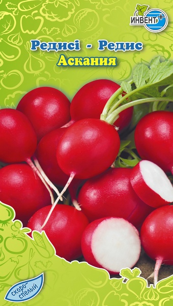 Редис Аскания, ИНВЕНТ+: фото