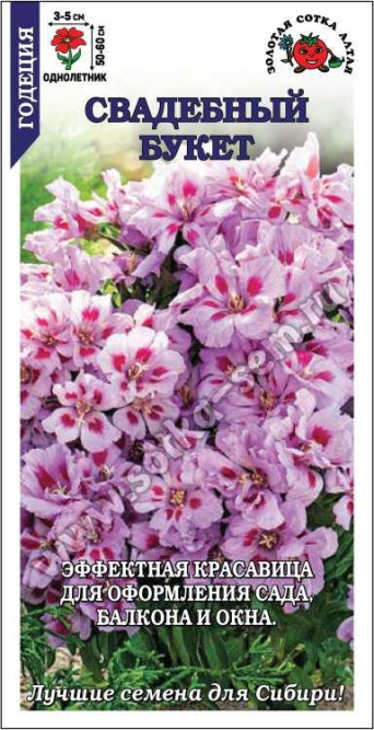 Семена годеция Свадебный букет, Золотая сотка: фото