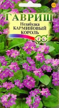 Семена незабудка Карминовый Король, Гавриш: фото