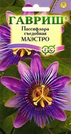 Семена пассифлора съедобная Маэстро, Гавриш: фото