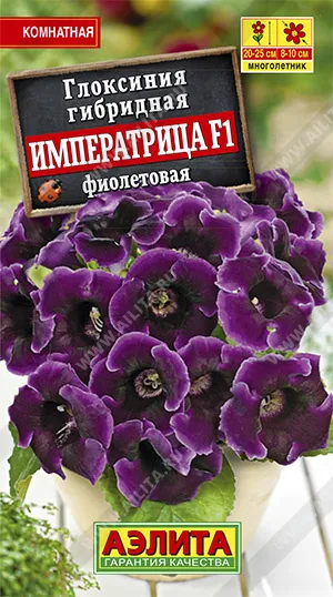 Семена глоксиния Императрица F1 фиолетовая, Аэлита: фото