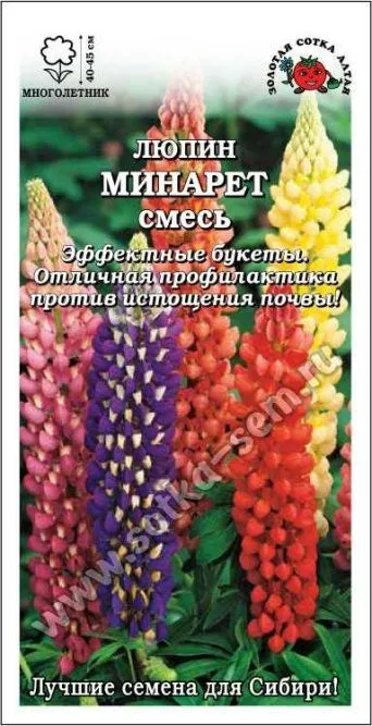 Семена люпин Минарет, Золотая Сотка: фото