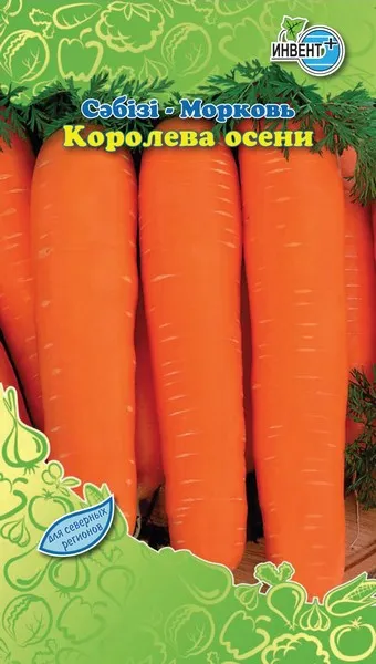 Морковь Королева Осени, ИНВЕНТ+: фото