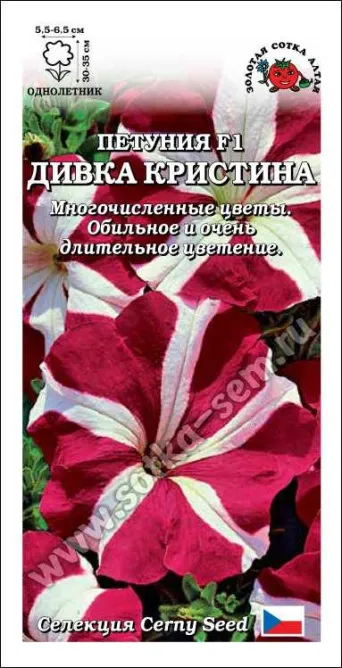 Семена петуния Дивка Кристина F1, Золотая сотка: фото