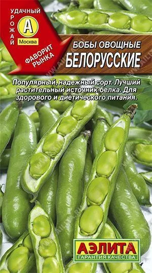 Семена бобы овощные Белорусские, Аэлита: фото